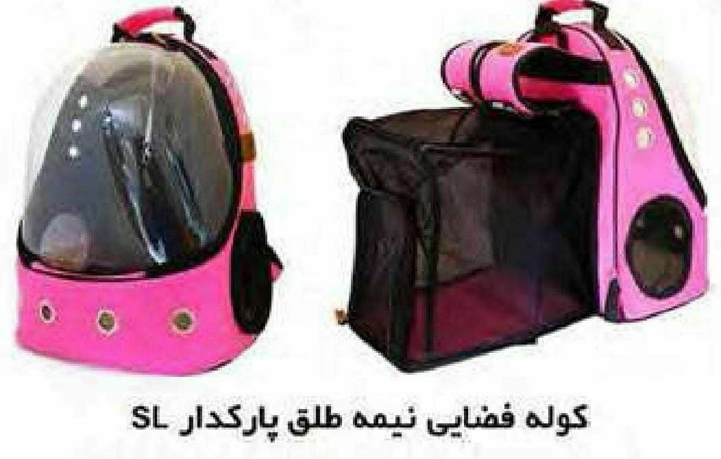 کیف کوروش پارکدار آریا