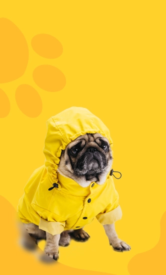 لباس و جای خواب