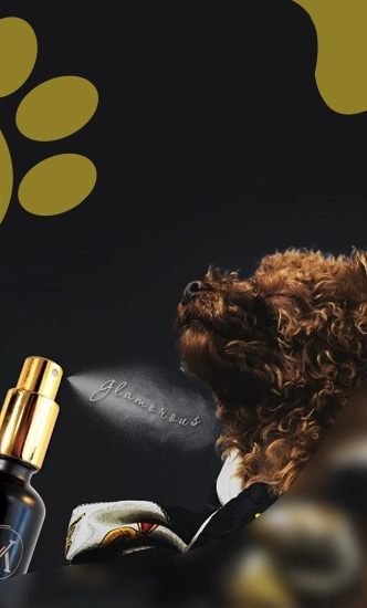 مکمل و اسپری