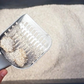 خاک بستر گربه