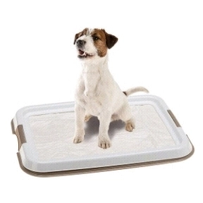 توالت حیوانات