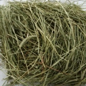 یونجه و پوشال