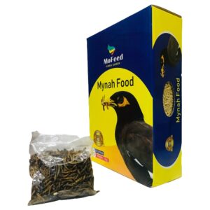 مرغ مینا مفید 1کیلویی