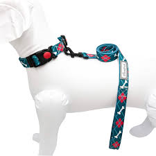 قلاده گردنی طرح استخوان شبرنگ به همراه بند سایز L