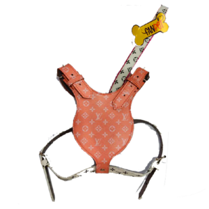 قلاده چرم دو تکه طرح لوئی ویتون فن پت