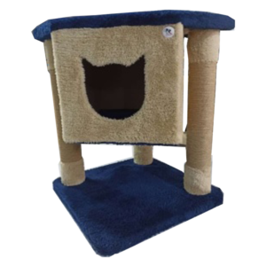 اسکرچر بانی