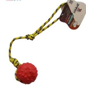 توپ آموزشی Large