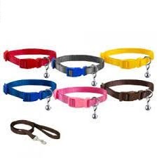 قلاده گردنی همراه لید (پک 10 عددی)