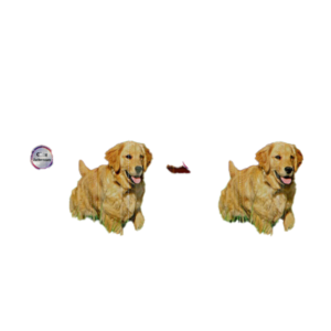 مدادی سگ وینستون