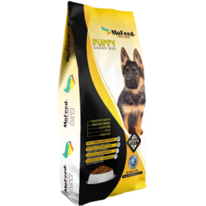 توله سگ نگهبان ۵ کیلویی