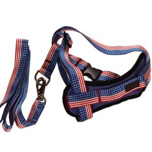 قلاده کتفي به همراه سينه بند سايز1