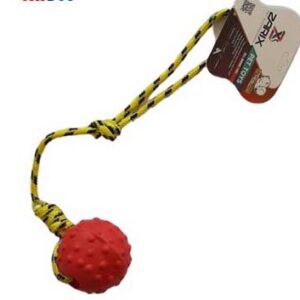 توپ آموزشي larg