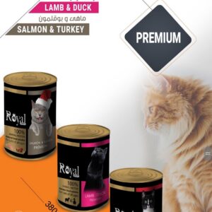 رويال کنسرو گربه طعم مرغ وجگر-380 گرم