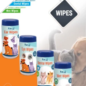 رويال کوکو دستمال مرطوب دندان100عددي