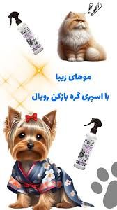 رويال کوکو گره بازکن